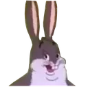 Chungus Chungus