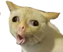 bue