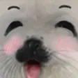 sealGasm sealGasm