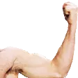 flexR