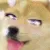 anAhegaoDoge anAhegaoDoge