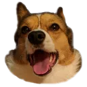 butters2