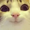 murderkitty