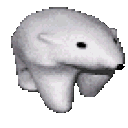 IceBear