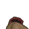 Ricardowave2