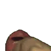 Ricardowave7