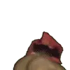 Ricardowave8