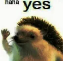 hahayes hahayes