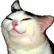 smug