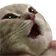 who