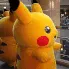 pika1