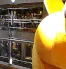 pika2