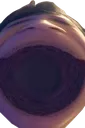 omeganoah