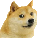 dogeFlipOblique