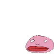 pajaHop