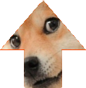 updoge