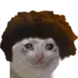 TriCat TriCat