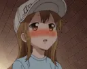 platelet