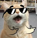 catpoint