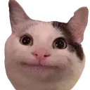 Cat2 cat2 Discord Emoji