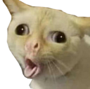 :CoughCat: Discord Emote
