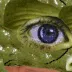dsPepe1 dsPepe1