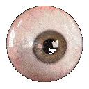 dsEyeball dsEyeball