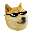 Doge1 Doge1 Discord Emoji