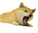 Doge2 doge2 Discord Emoji