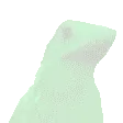 RarePing RarePing