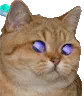 ChatLasers