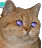 :ChatLasers: ChatLasers