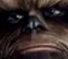 thewookiees