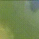 bc5 bc5