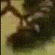bc1