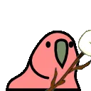 marshmallowparrot