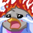 starletPanic