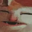 fatcat