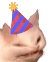 prtyct