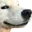goodboy