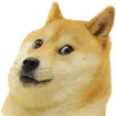 dogeOblique
