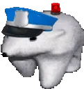 police
