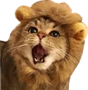 :roar: