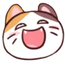 hilariouscat