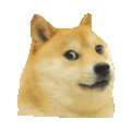 doge3D Discord Emoji
