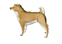 dogeBody3d Discord Emoji