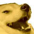 GoldBalanceKek