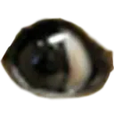 dogeEyeL Discord Emoji