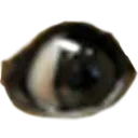 dogeEyeR Discord Emoji