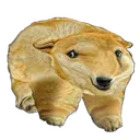 dogeBear Discord Emoji